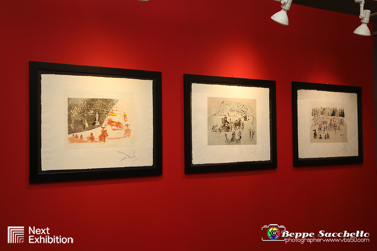 VBS_7754 - Salvador Dalì - The Exhibition.jpg